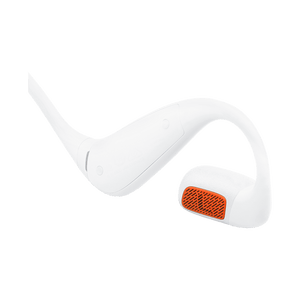 JBL Endurance Pace