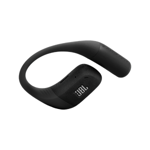 JBL Endurance Zone