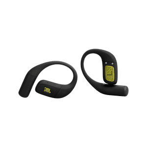 JBL Endurance Zone