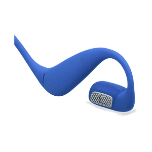 JBL Endurance Pace