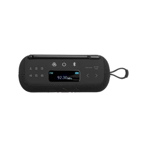 JBL Tuner 3