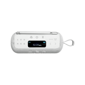 JBL Tuner 3