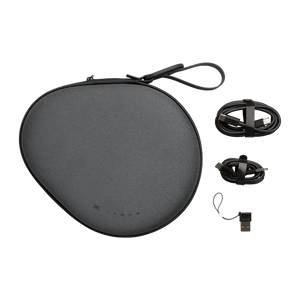 JBL Tour One M3