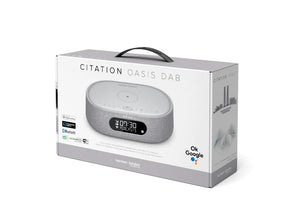 Harman Kardon Oasis