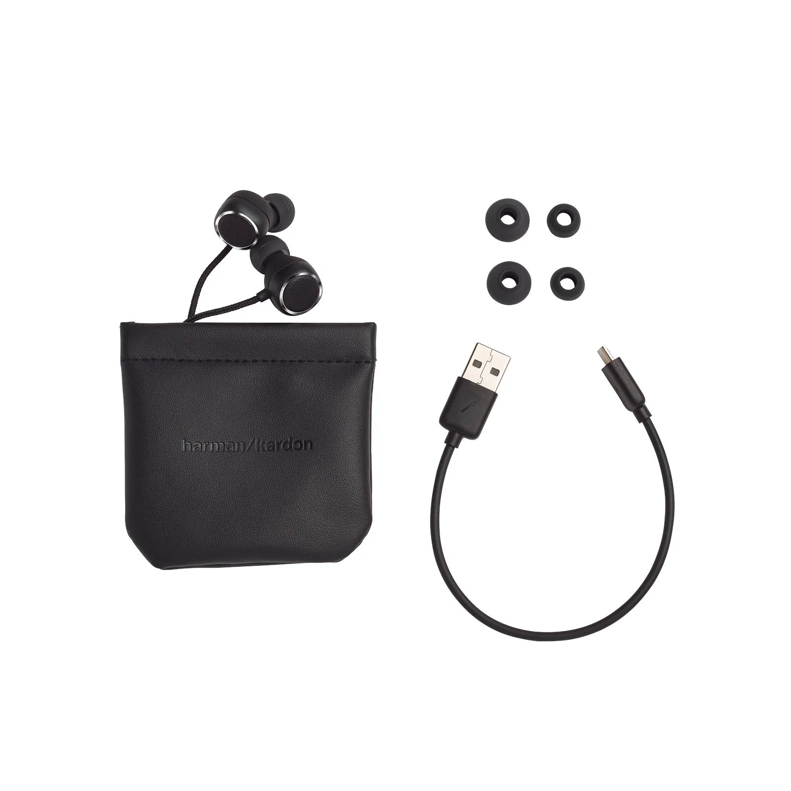 Harman Kardon Fly BT