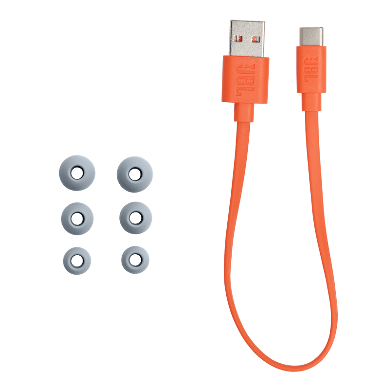 JBL Endurance 2 Wireless Earphones Coral Accessories Photo